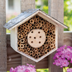 Projects for a Pollinator-Friendly Garden